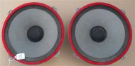 Pair of 12 Inch Richard Allan Speakers (SP52)