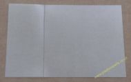 NSM Pack of 25 Clear Plastic Sleeves for Sliding Page Units